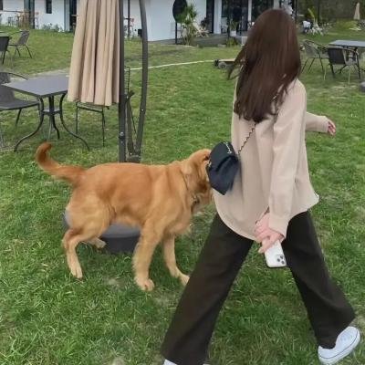九域之天眼崛起