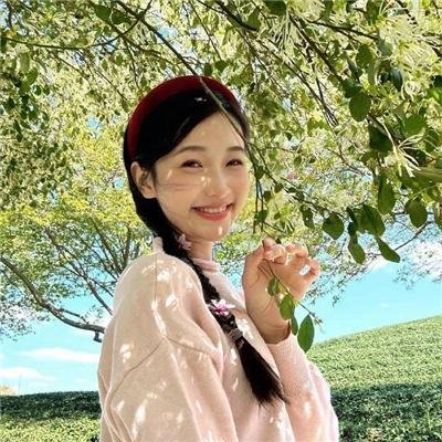 龙头之死